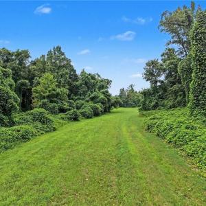 Photo #2 of 543 Bald Hill Loop, Madison, NC 31.4 acres