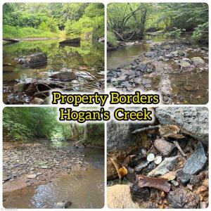 Photo #6 of 543 Bald Hill Loop, Madison, NC 31.4 acres