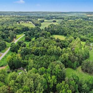 Photo #12 of 543 Bald Hill Loop, Madison, NC 31.4 acres