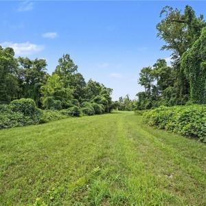 Photo #22 of 543 Bald Hill Loop, Madison, NC 31.4 acres