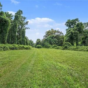 Photo #7 of 543 Bald Hill Loop, Madison, NC 31.4 acres