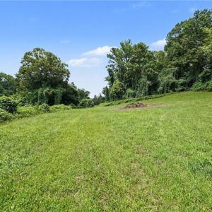 Photo #5 of 543 Bald Hill Loop, Madison, NC 31.4 acres