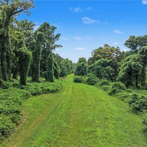 Photo #9 of 543 Bald Hill Loop, Madison, NC 31.4 acres