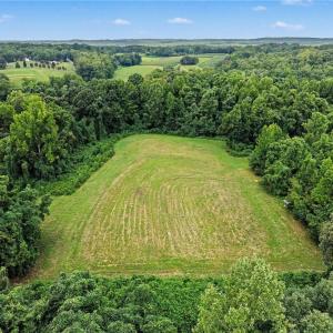 Photo #10 of 543 Bald Hill Loop, Madison, NC 31.4 acres