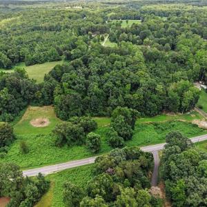 Photo #14 of 543 Bald Hill Loop, Madison, NC 31.4 acres