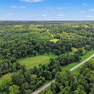 Photo #18 of 543 Bald Hill Loop, Madison, NC 31.4 acres