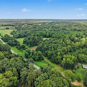 Photo #15 of 543 Bald Hill Loop, Madison, NC 31.4 acres