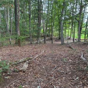 Beautiful, private wooded acreage—an ideal setting for building your custom dream home, homestead, or quiet rural retreat.