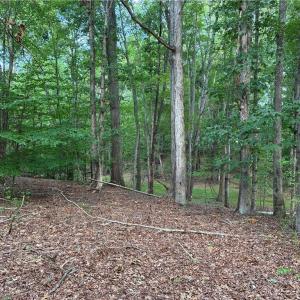 Secluded woodlot with plenty of space to clear a private homesite, cabin, or self-sustaining mini-farm surrounded by nature.