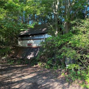 Old abandoned cabin site provides a pre-existing footprint and potential starting point for a replacement build.
