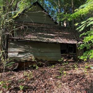 Vintage wood structure surrounded by mature timber—ideal for a full tear-down project or creative rustic renovation.