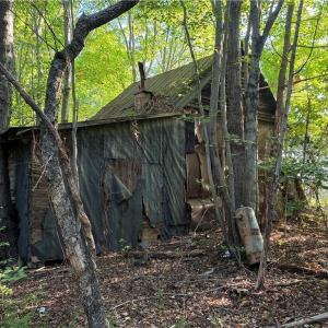 Existing vintage cabin on-site