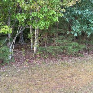 Photo #4 of Bethany, Reidsville, NC 19.8 acres