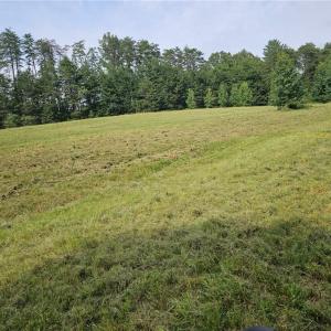 Photo #2 of Massey Creek, Madison, NC 20.7 acres