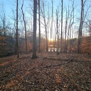 Photo #6 of Massey Creek, Madison, NC 20.7 acres