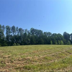 Photo #3 of Massey Creek, Madison, NC 20.7 acres