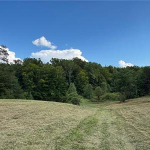 Photo #1 of Massey Creek, Madison, NC 20.7 acres