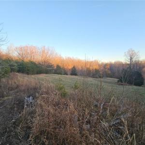 Photo #9 of Massey Creek, Madison, NC 20.7 acres