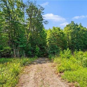 Photo #11 of Massey Creek, Madison, NC 20.7 acres