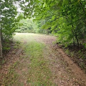Photo #4 of Massey Creek, Madison, NC 20.7 acres