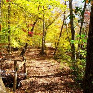 Photo #22 of 5 Old Mill, Pinnacle, NC 16.8 acres