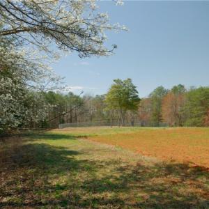 Photo #7 of 5 Old Mill, Pinnacle, NC 16.8 acres