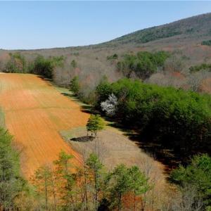 Photo #3 of 5 Old Mill, Pinnacle, NC 16.8 acres