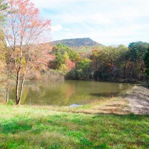 Photo #1 of 5 Old Mill, Pinnacle, NC 16.8 acres