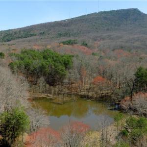 Photo #5 of 5 Old Mill, Pinnacle, NC 16.8 acres