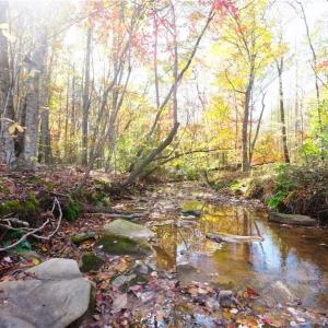 Photo #8 of 5 Old Mill, Pinnacle, NC 16.8 acres