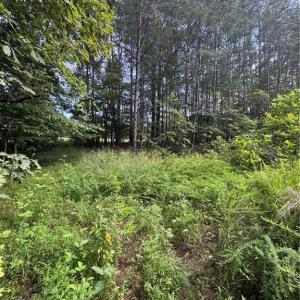 Photo #2 of Johnson, King, NC 17.1 acres