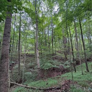Photo #6 of Johnson, King, NC 17.1 acres