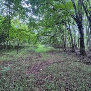 Photo #7 of Johnson, King, NC 17.1 acres