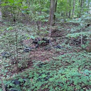 Photo #5 of Johnson, King, NC 17.1 acres