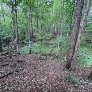 Photo #10 of Johnson, King, NC 17.1 acres