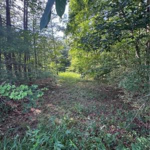 Photo #14 of Johnson, King, NC 17.1 acres