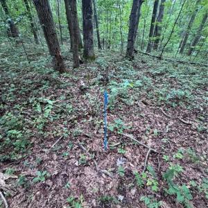 Photo #4 of Johnson, King, NC 17.1 acres