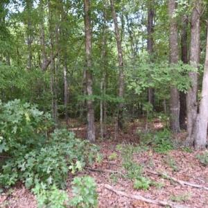 Photo #2 of Garner, Snow Camp, NC 17.0 acres