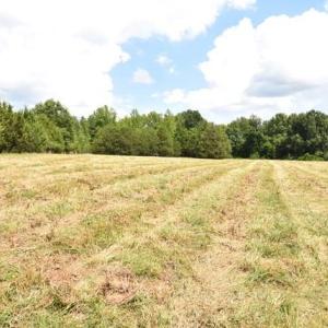 Photo #5 of Garner, Snow Camp, NC 17.0 acres