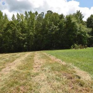Photo #9 of Garner, Snow Camp, NC 17.0 acres