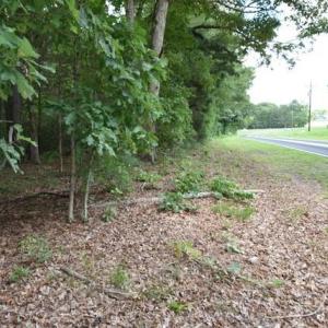 Photo #14 of Garner, Snow Camp, NC 17.0 acres