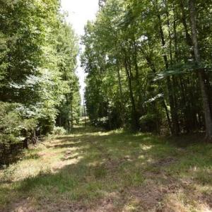 Photo #11 of Garner, Snow Camp, NC 17.0 acres