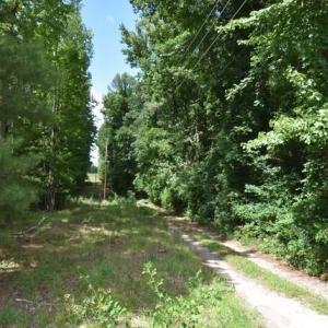 Photo #4 of Garner, Snow Camp, NC 17.0 acres