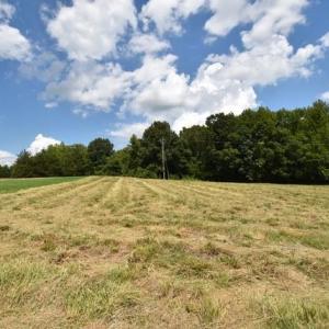 Photo #8 of Garner, Snow Camp, NC 17.0 acres
