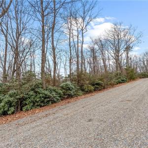 Photo #6 of TBD W Pheasant Chase, Ararat, VA 2.5 acres