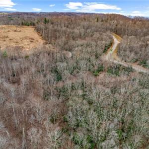 Photo #17 of TBD W Pheasant Chase, Ararat, VA 2.5 acres