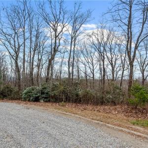 Photo #3 of TBD W Pheasant Chase, Ararat, VA 2.5 acres