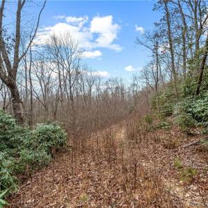 Photo #5 of TBD W Pheasant Chase, Ararat, VA 2.5 acres