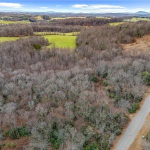 Photo #20 of TBD W Pheasant Chase, Ararat, VA 2.5 acres