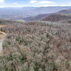 Photo #11 of TBD W Pheasant Chase, Ararat, VA 2.5 acres